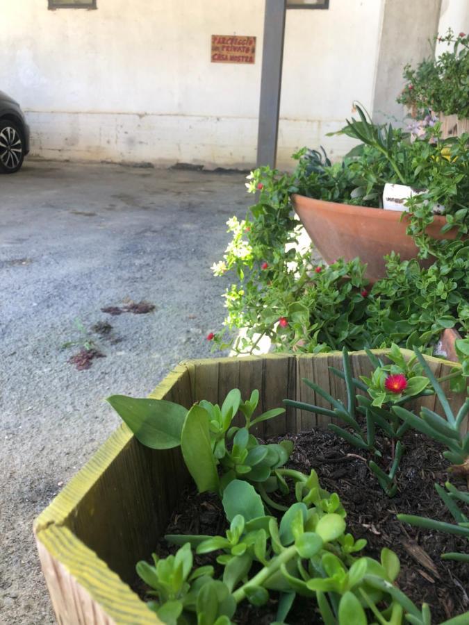 圣维托彻帝诺Casanostra别墅 外观 照片